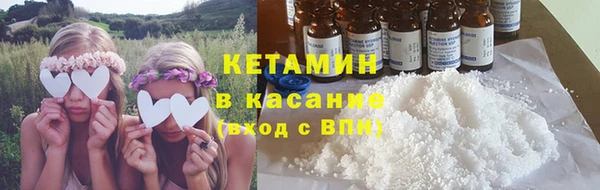 сатива Вяземский