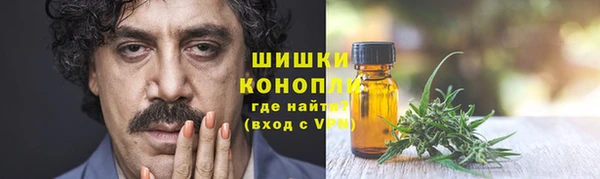 сатива Вяземский