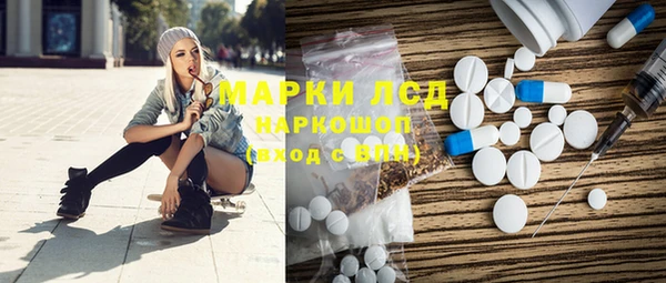 сатива Вяземский