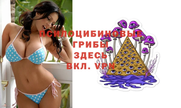 сатива Вяземский