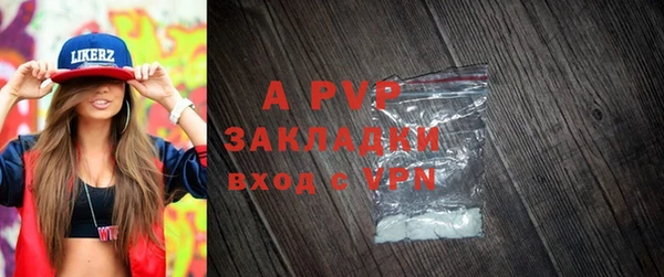 сатива Вяземский
