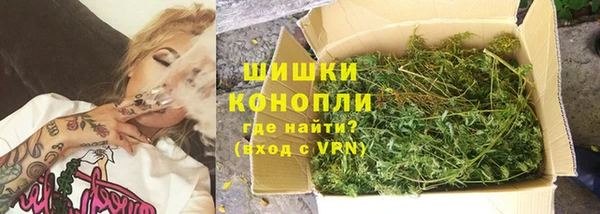 PSILOCYBIN Вязники
