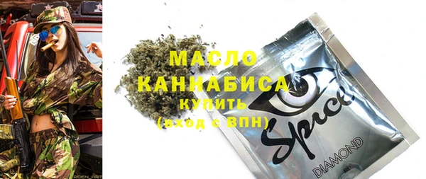 сатива Вяземский